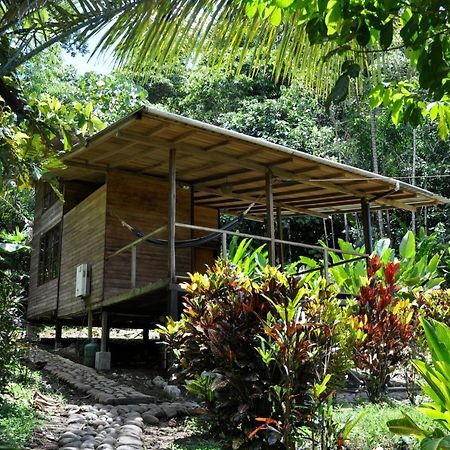 Huella Verde Rainforest Lodge Canelos Eksteriør bilde