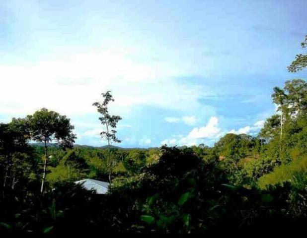 Huella Verde Rainforest Lodge Canelos Eksteriør bilde