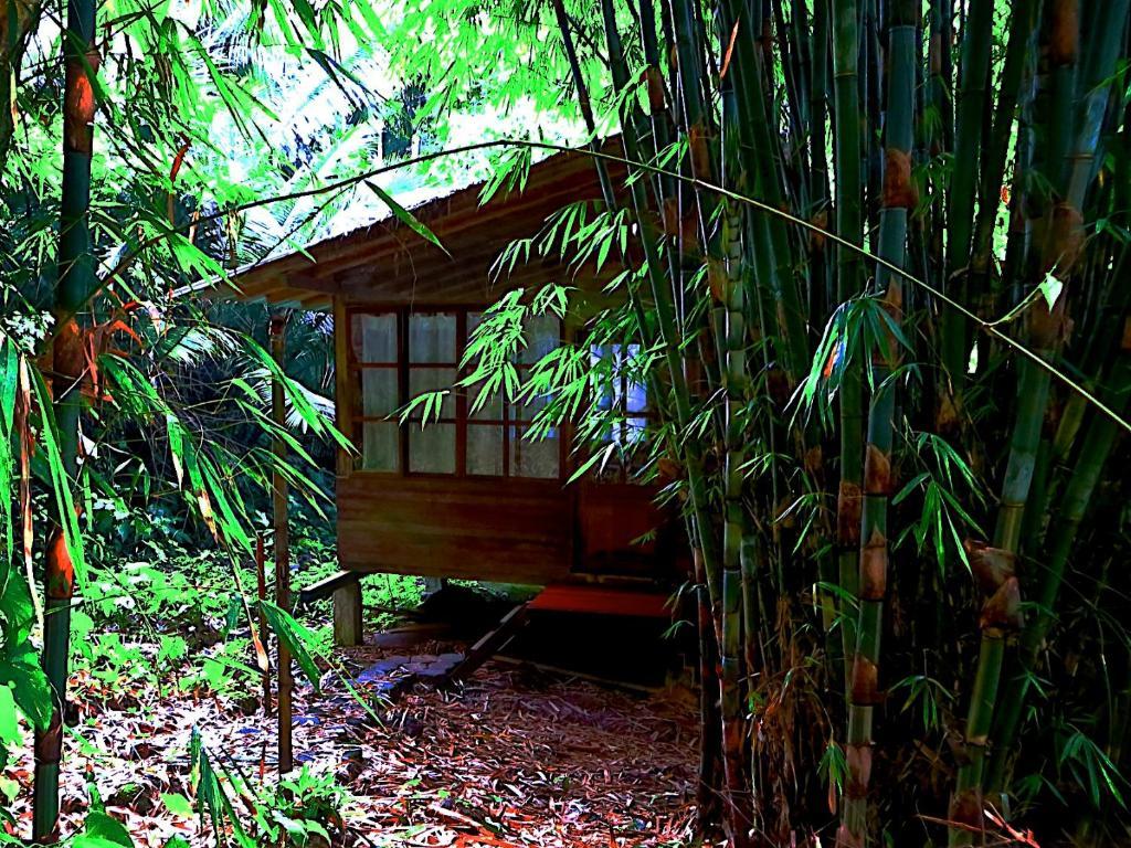 Huella Verde Rainforest Lodge Canelos Rom bilde