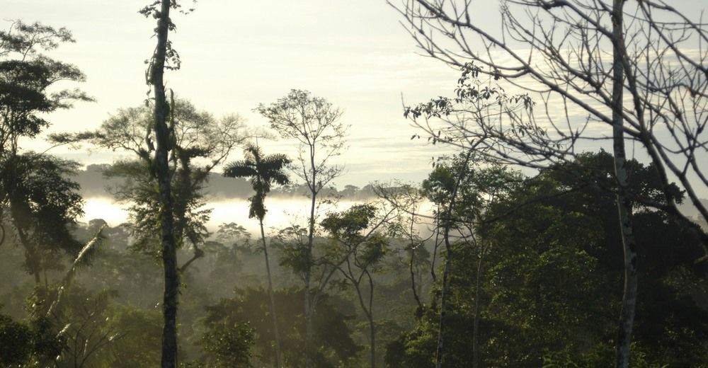 Huella Verde Rainforest Lodge Canelos Eksteriør bilde