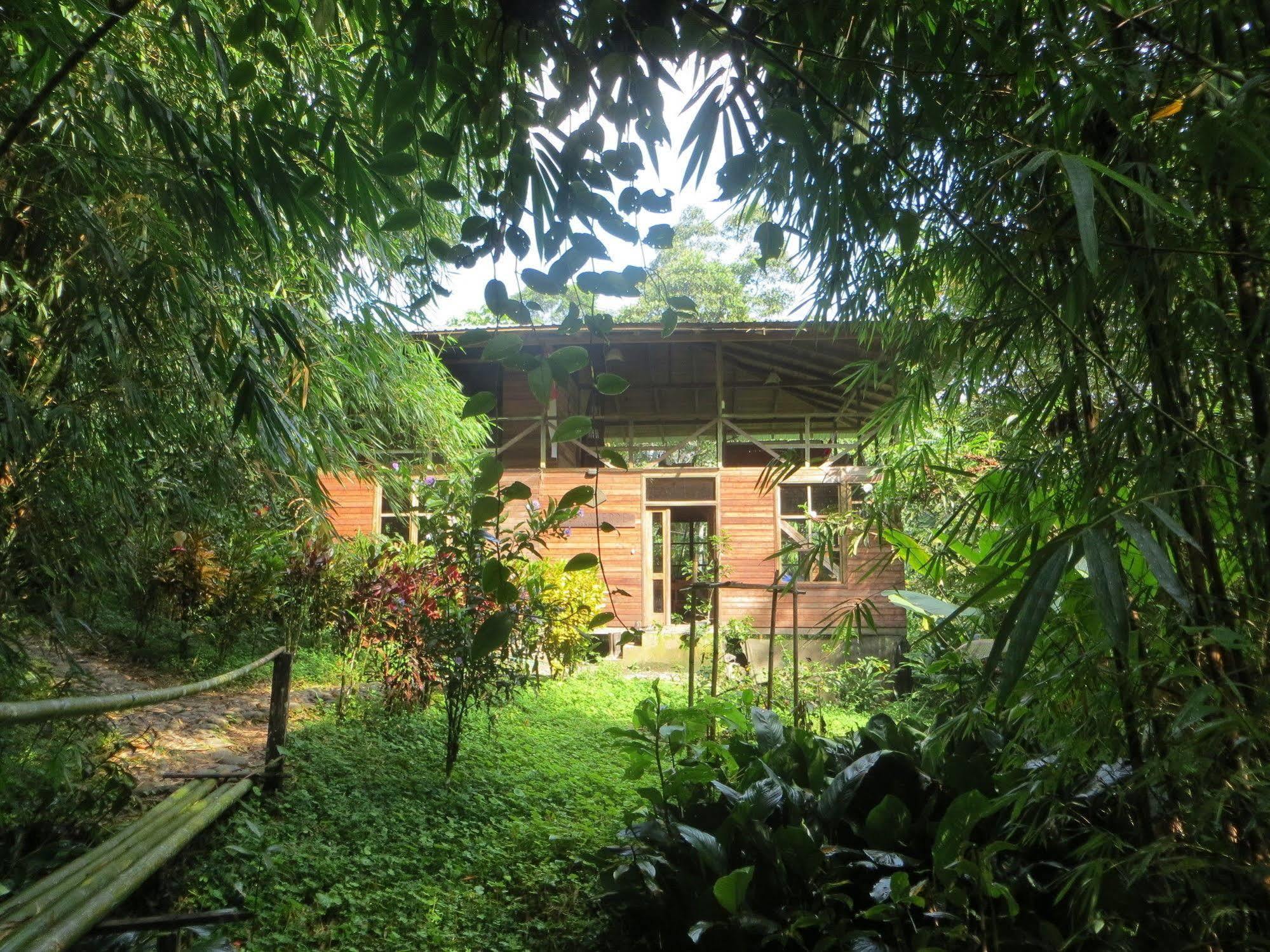 Huella Verde Rainforest Lodge Canelos Eksteriør bilde