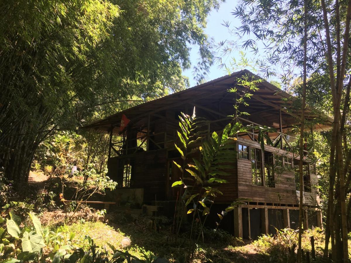 Huella Verde Rainforest Lodge Canelos Eksteriør bilde